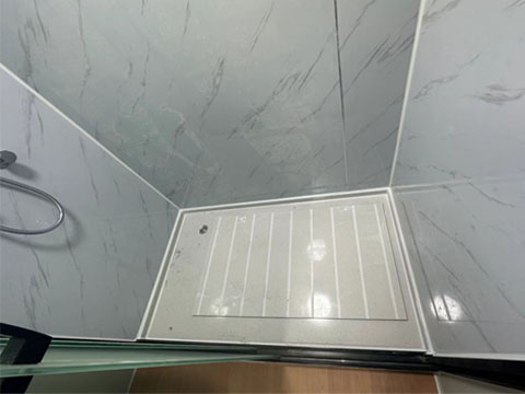 Shower recess floor