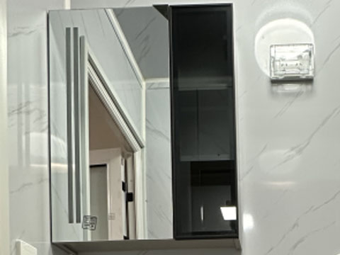 Storage mirror