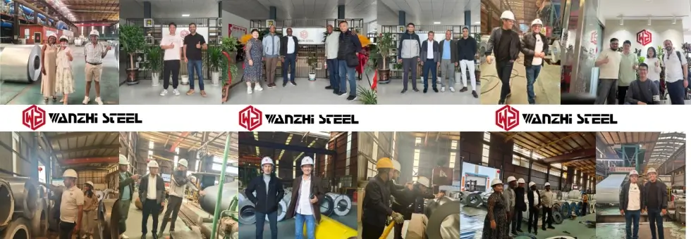 Customer Visit & Wanzhi Factory