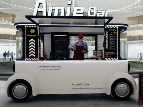 Indoor Electric Car Bar