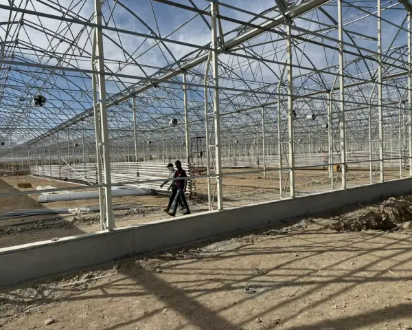 Uzbekistan agricultural greenhouse project