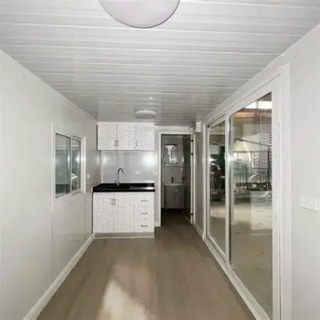 Ceiling light with sliding glass door